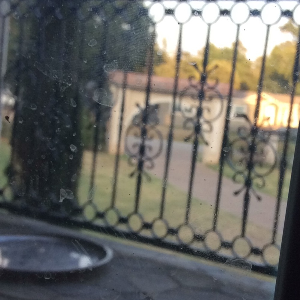 Meet your Posher, Ximena